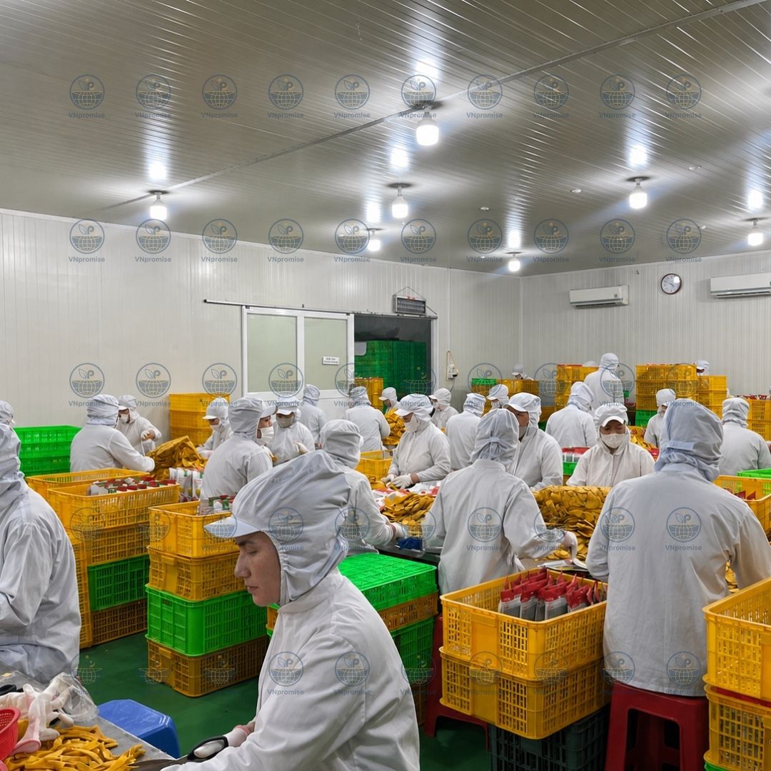 VNPROMSIE OEM ODM Soft dried fruit