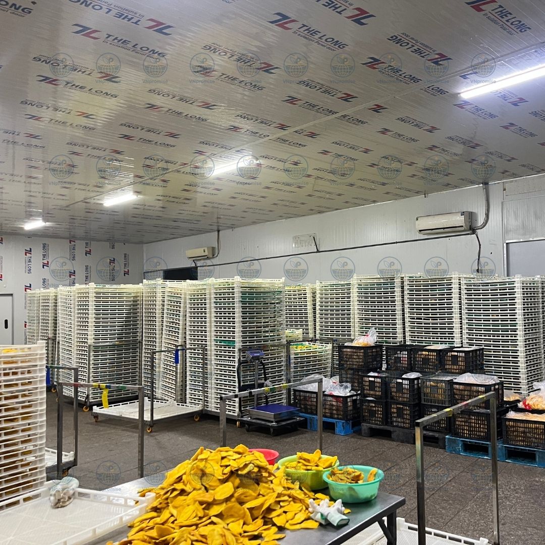 VNPROMSIE OEM ODM Soft dried fruit