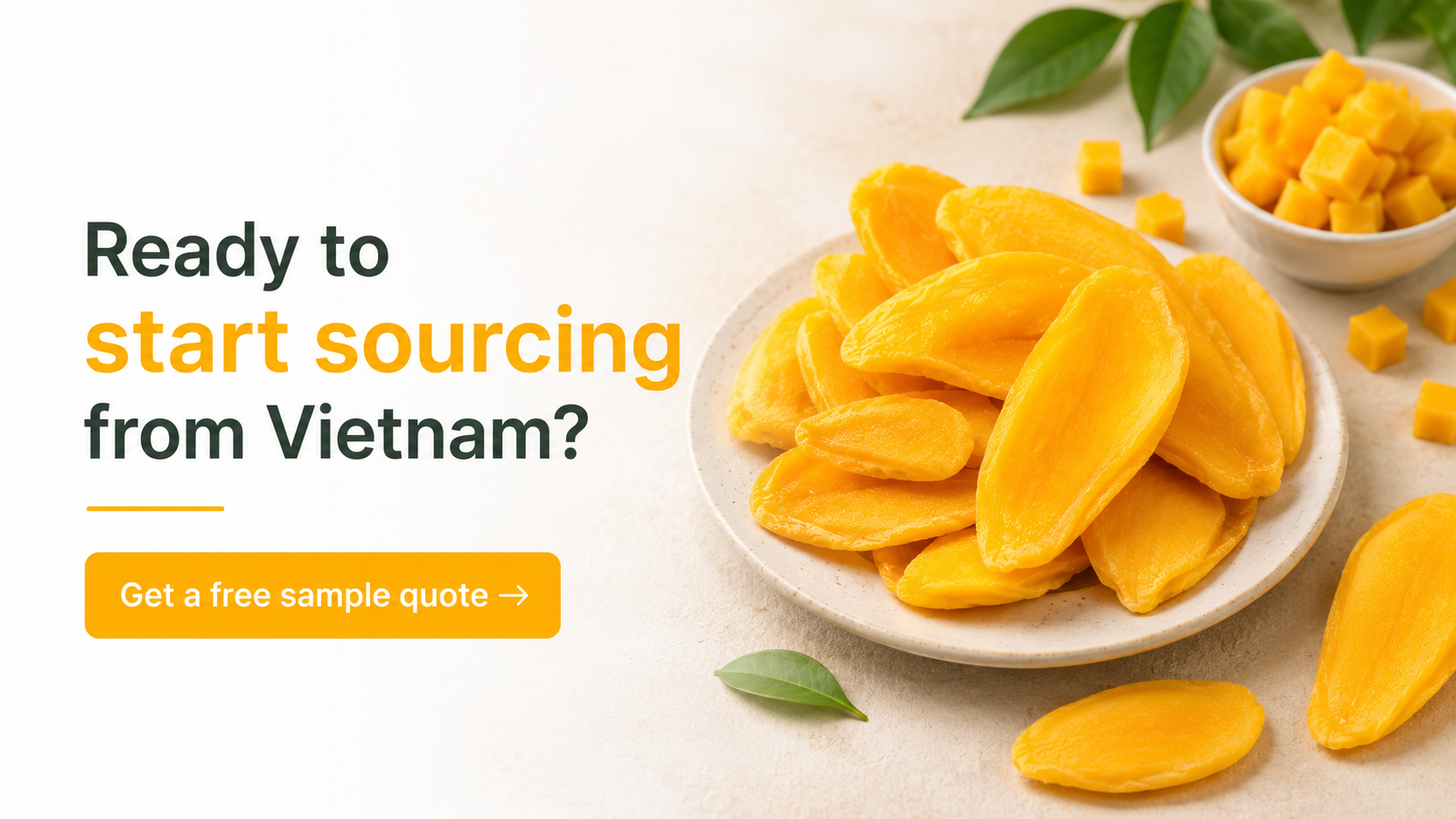 Dried mango pieces and export cartons prepared for buyer discussion.